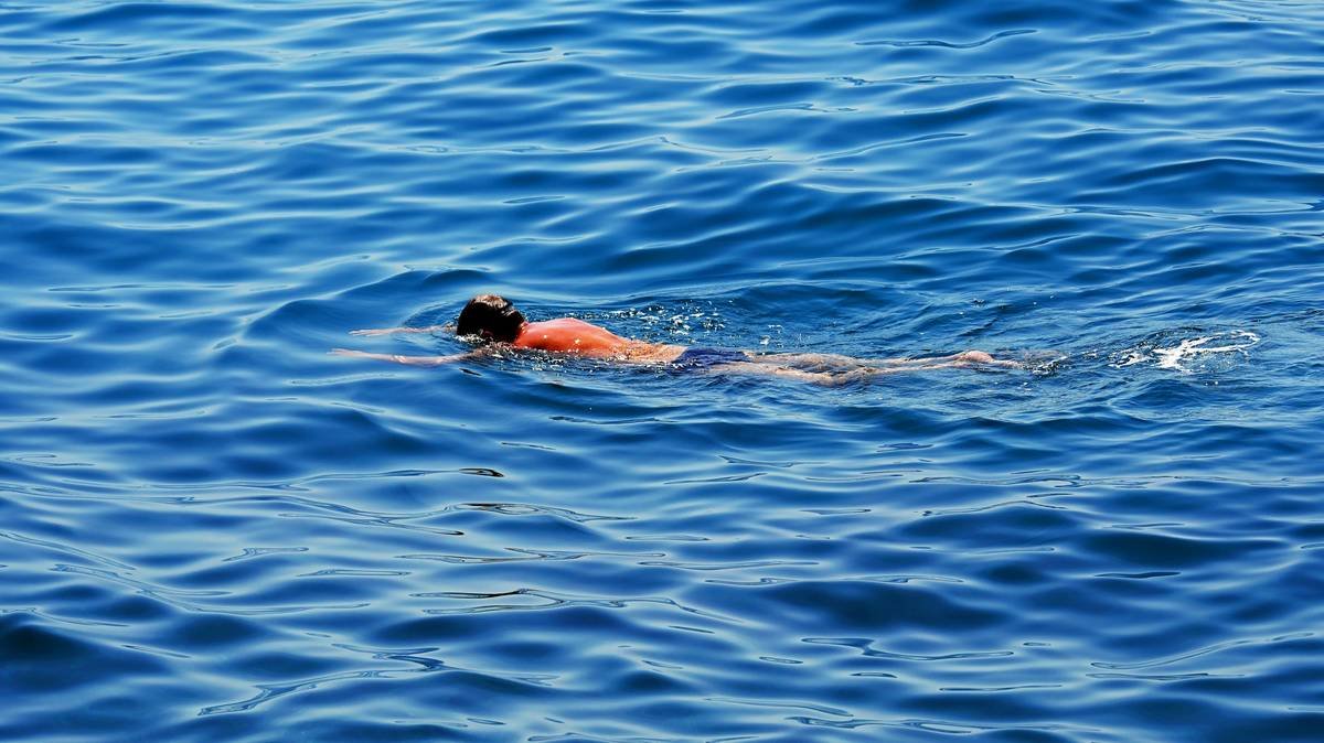 Before and after photos showing the transformation of hair after using deep conditioning treatments.